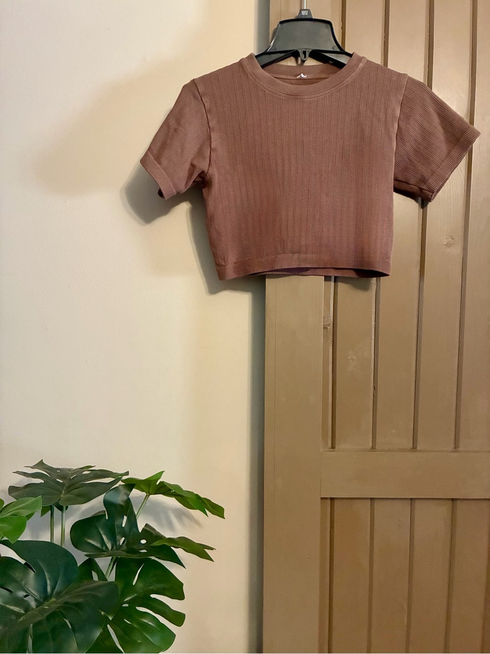 Ribbed Short Sleeve Crop Top in Brown